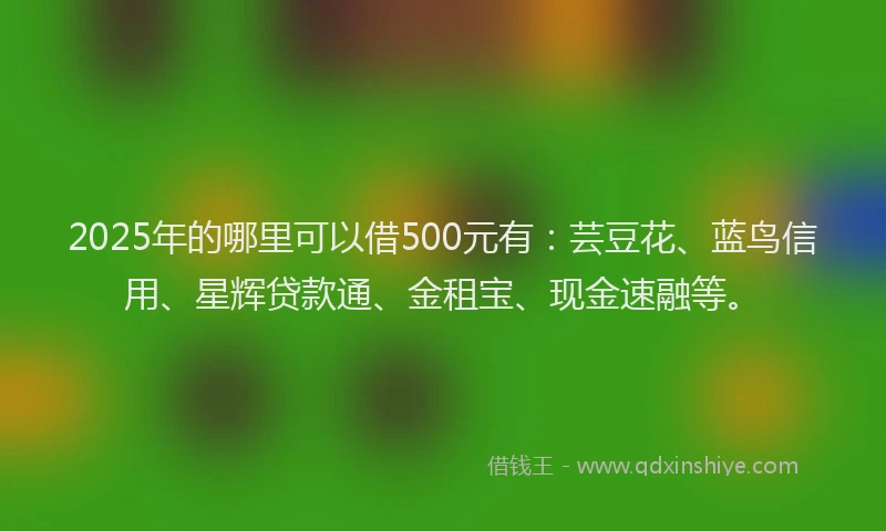 2025年的哪里可以借500元有：芸豆花、蓝鸟信用、星辉贷款通、金租宝、现金速融等。