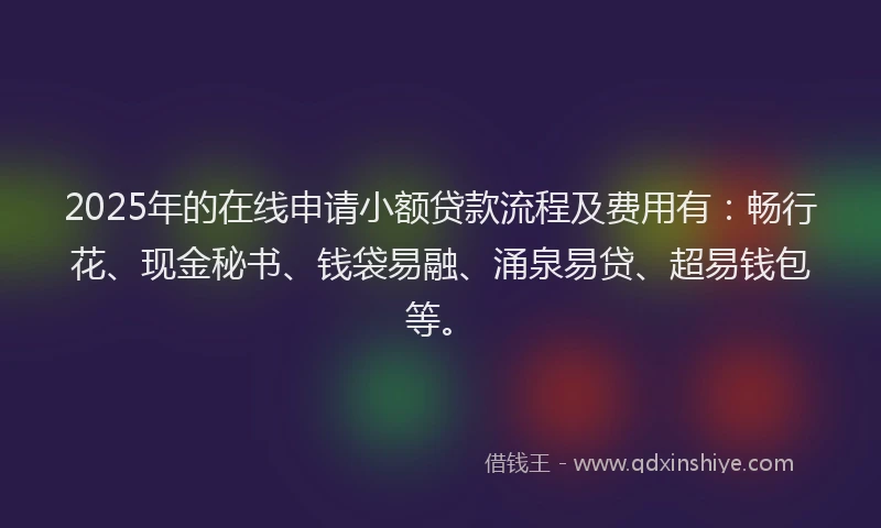 2025年的在线申请小额贷款流程及费用有：畅行花、现金秘书、钱袋易融、涌泉易贷、超易钱包等。