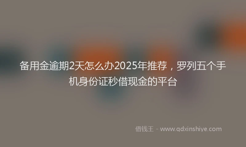 备用金逾期2天怎么办2025年推荐，罗列五个手机身份证秒借现金的平台