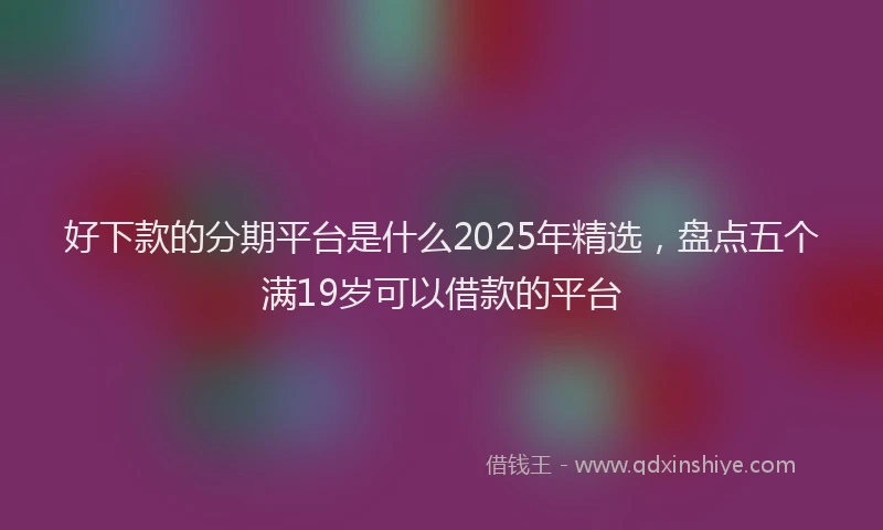 好下款的分期平台是什么2025年精选，盘点五个满19岁可以借款的平台