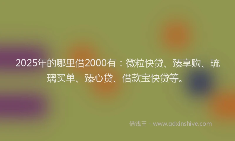 2025年的哪里借2000有：微粒快贷、臻享购、琉璃买单、臻心贷、借款宝快贷等。
