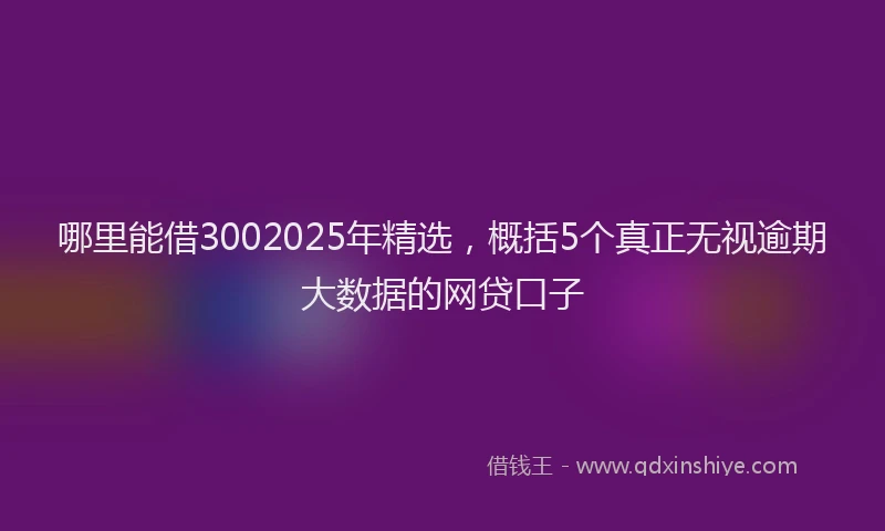 哪里能借3002025年精选，概括5个真正无视逾期大数据的网贷口子