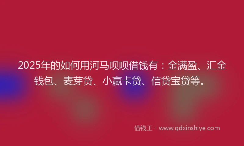 2025年的如何用河马呗呗借钱有：金满盈、汇金钱包、麦芽贷、小赢卡贷、信贷宝贷等。