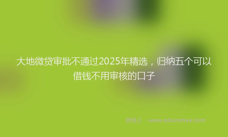 大地微贷审批不通过2025年精选，归纳五个可以借钱不用审核的口子