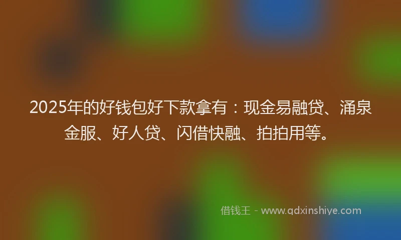 2025年的好钱包好下款拿有：现金易融贷、涌泉金服、好人贷、闪借快融、拍拍用等。