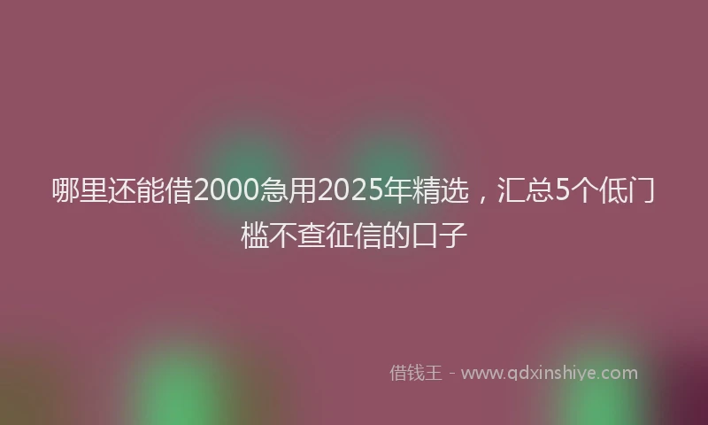 哪里还能借2000急用2025年精选，汇总5个低门槛不查征信的口子