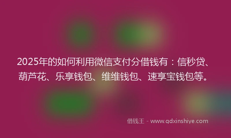 2025年的如何利用微信支付分借钱有：信秒贷、葫芦花、乐享钱包、维维钱包、速享宝钱包等。