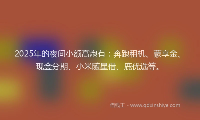 2025年的夜间小额高炮有：奔跑租机、蒙享金、现金分期、小米随星借、鹿优选等。