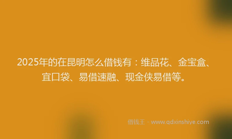 2025年的在昆明怎么借钱有：维品花、金宝盒、宜口袋、易借速融、现金侠易借等。