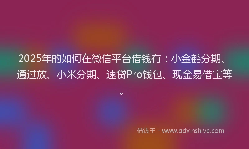 2025年的如何在微信平台借钱有：小金鹤分期、通过放、小米分期、速贷Pro钱包、现金易借宝等。