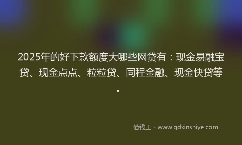 2025年的好下款额度大哪些网贷有：现金易融宝贷、现金点点、粒粒贷、同程金融、现金快贷等。