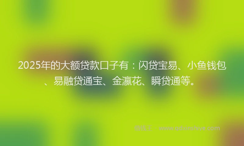2025年的大额贷款口子有：闪贷宝易、小鱼钱包、易融贷通宝、金瀛花、瞬贷通等。