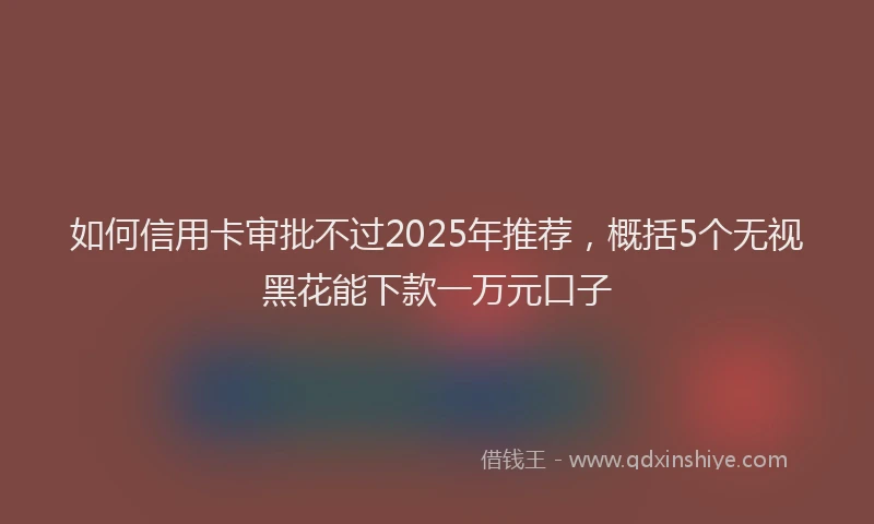 如何信用卡审批不过2025年推荐，概括5个无视黑花能下款一万元口子
