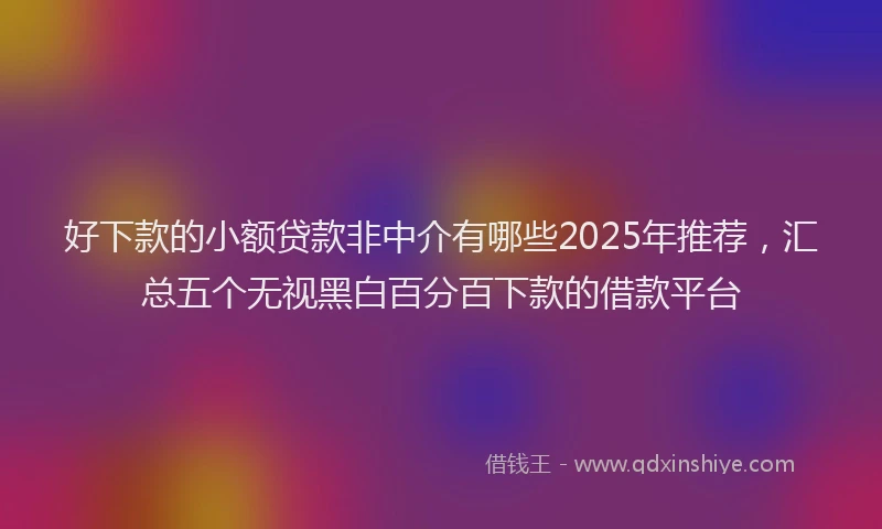 好下款的小额贷款非中介有哪些2025年推荐，汇总五个无视黑白百分百下款的借款平台