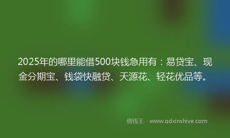 2025年的哪里能借500块钱急用有：易贷宝、现金分期宝、钱袋快融贷、天源花、轻花优品等。