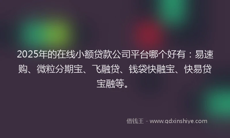 2025年的在线小额贷款公司平台哪个好有：易速购、微粒分期宝、飞融贷、钱袋快融宝、快易贷宝融等。
