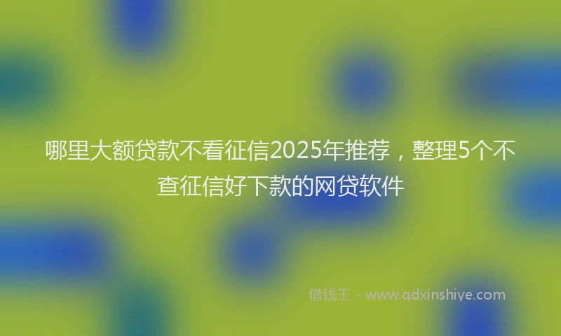 哪里大额贷款不看征信2025年推荐，整理5个不查征信好下款的网贷软件