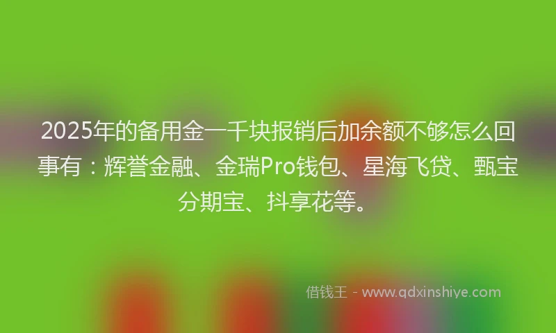 2025年的备用金一千块报销后加余额不够怎么回事有：辉誉金融、金瑞Pro钱包、星海飞贷、甄宝分期宝、抖享花等。