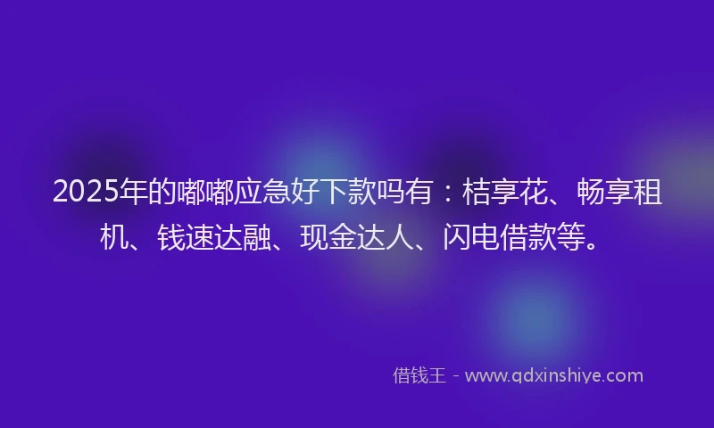 2025年的嘟嘟应急好下款吗有：桔享花、畅享租机、钱速达融、现金达人、闪电借款等。
