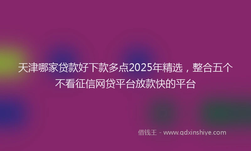 天津哪家贷款好下款多点2025年精选，整合五个不看征信网贷平台放款快的平台