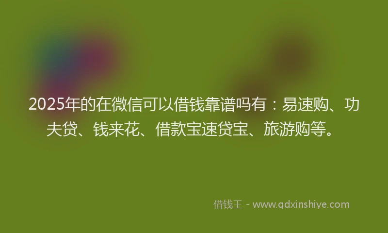 2025年的在微信可以借钱靠谱吗有：易速购、功夫贷、钱来花、借款宝速贷宝、旅游购等。