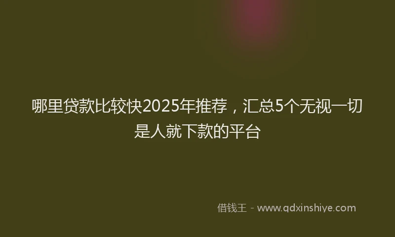 哪里贷款比较快2025年推荐，汇总5个无视一切是人就下款的平台