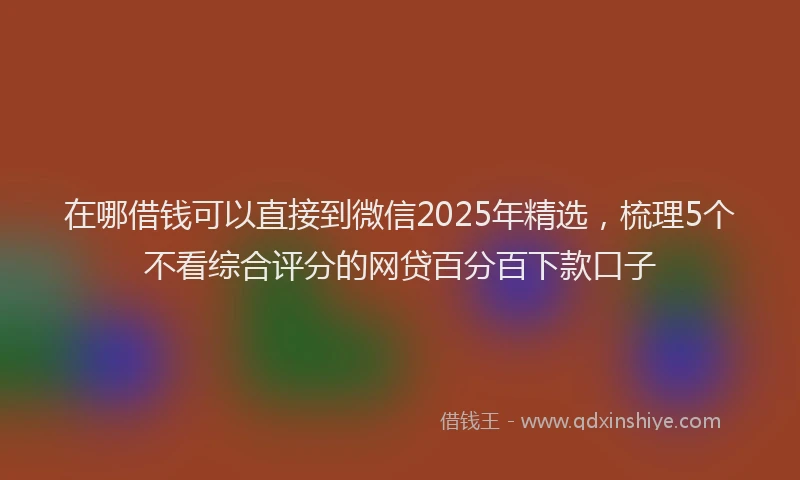 在哪借钱可以直接到微信2025年精选，梳理5个不看综合评分的网贷百分百下款口子