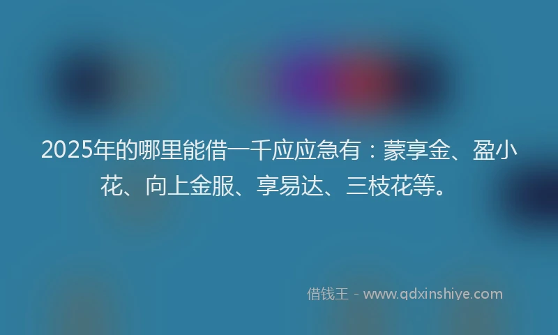 2025年的哪里能借一千应应急有：蒙享金、盈小花、向上金服、享易达、三枝花等。