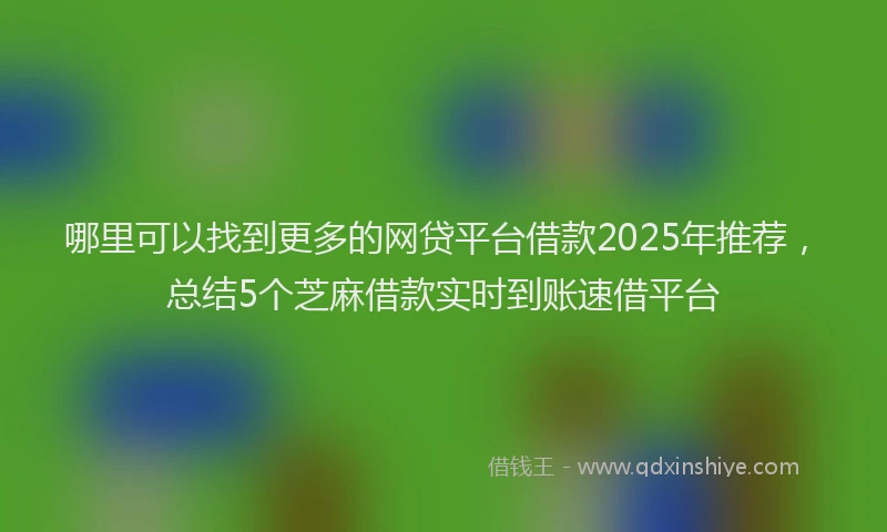 哪里可以找到更多的网贷平台借款2025年推荐，总结5个芝麻借款实时到账速借平台