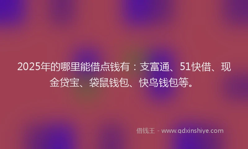2025年的哪里能借点钱有：支富通、51快借、现金贷宝、袋鼠钱包、快鸟钱包等。