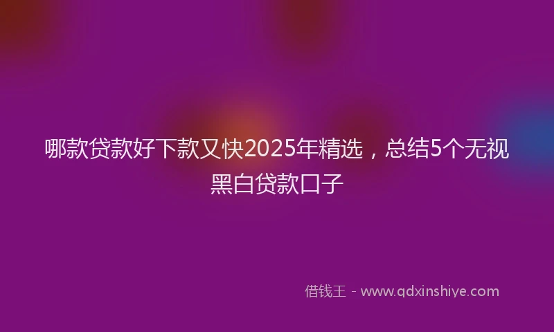 哪款贷款好下款又快2025年精选，总结5个无视黑白贷款口子