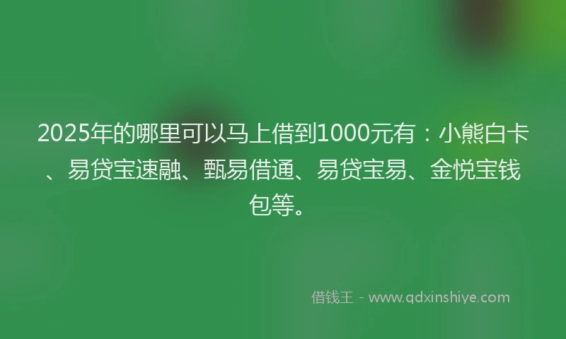 2025年的哪里可以马上借到1000元有：小熊白卡、易贷宝速融、甄易借通、易贷宝易、金悦宝钱包等。