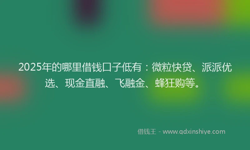 2025年的哪里借钱口子低有：微粒快贷、派派优选、现金直融、飞融金、蜂狂购等。