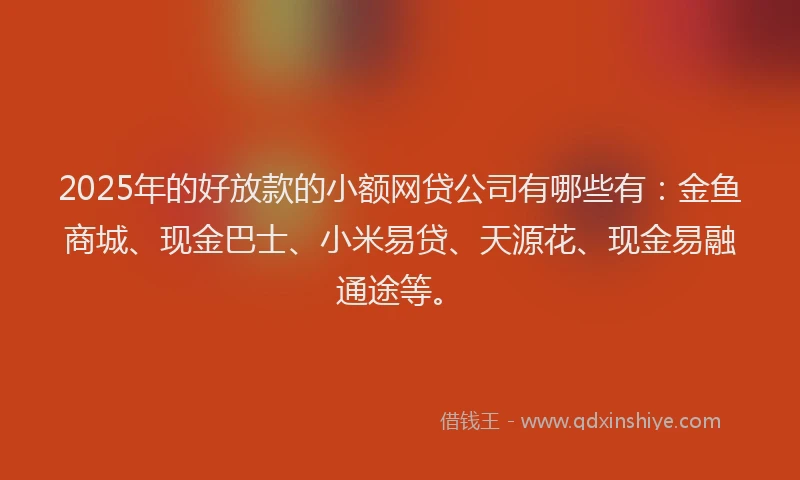 2025年的好放款的小额网贷公司有哪些有：金鱼商城、现金巴士、小米易贷、天源花、现金易融通途等。