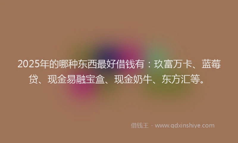 2025年的哪种东西最好借钱有：玖富万卡、蓝莓贷、现金易融宝盒、现金奶牛、东方汇等。