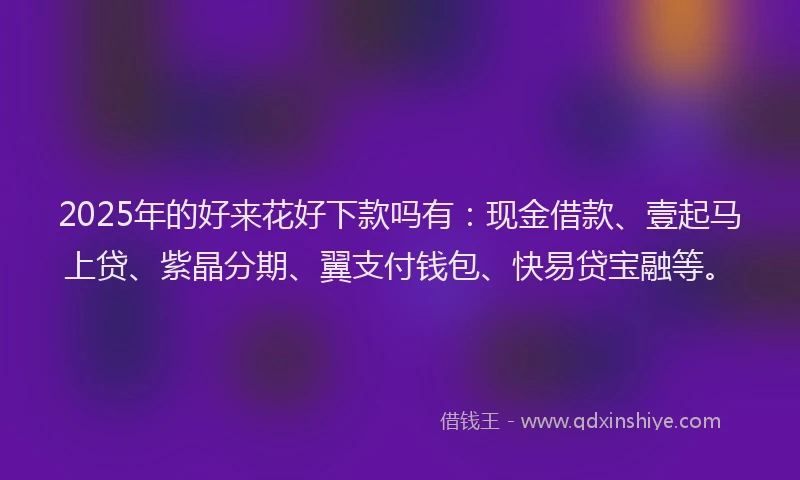 2025年的好来花好下款吗有：现金借款、壹起马上贷、紫晶分期、翼支付钱包、快易贷宝融等。