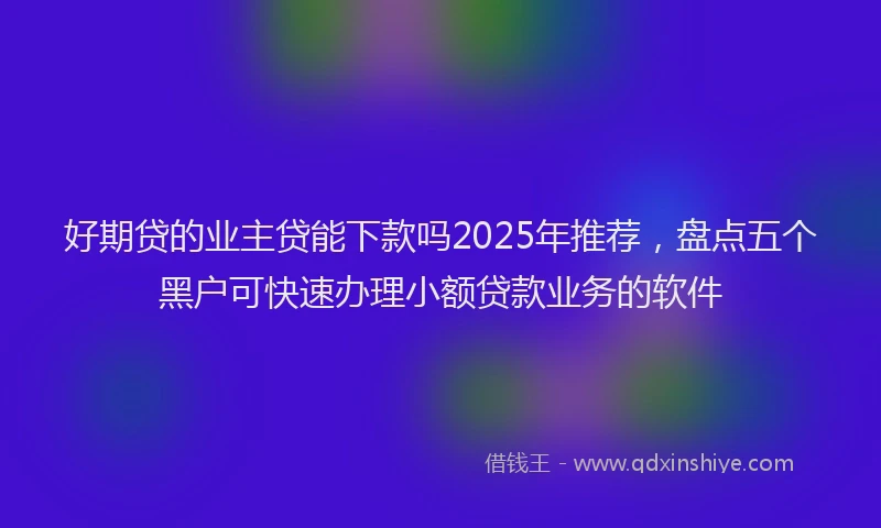 好期贷的业主贷能下款吗2025年推荐，盘点五个黑户可快速办理小额贷款业务的软件