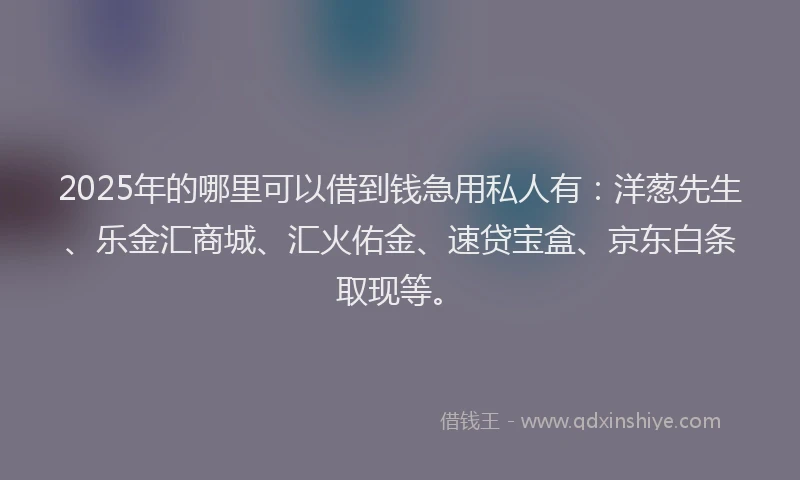 2025年的哪里可以借到钱急用私人有：洋葱先生、乐金汇商城、汇火佑金、速贷宝盒、京东白条取现等。