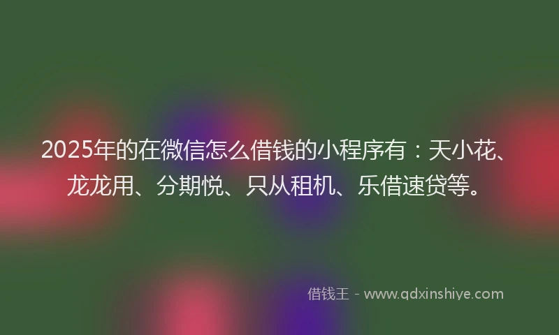 2025年的在微信怎么借钱的小程序有：天小花、龙龙用、分期悦、只从租机、乐借速贷等。