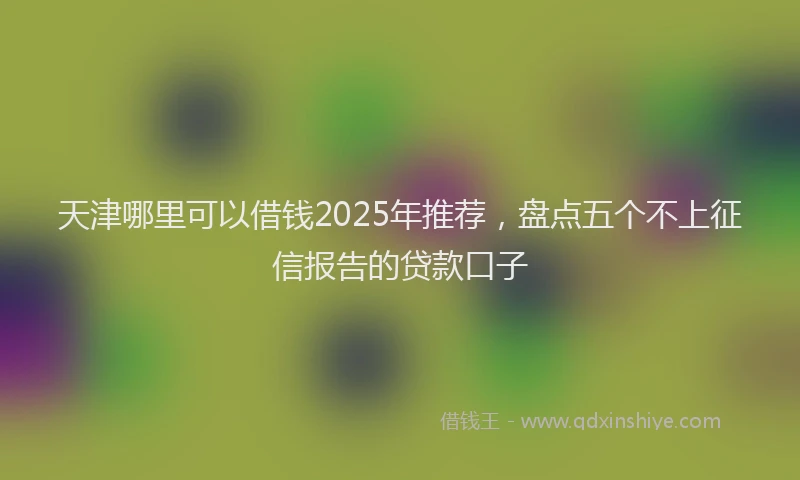 天津哪里可以借钱2025年推荐，盘点五个不上征信报告的贷款口子