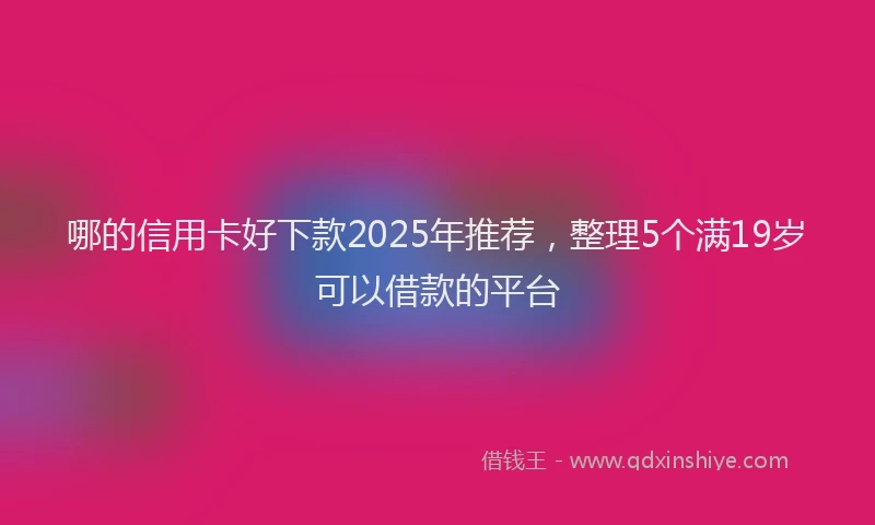 哪的信用卡好下款2025年推荐，整理5个满19岁可以借款的平台