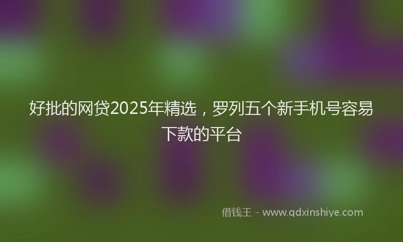 好批的网贷2025年精选，罗列五个新手机号容易下款的平台