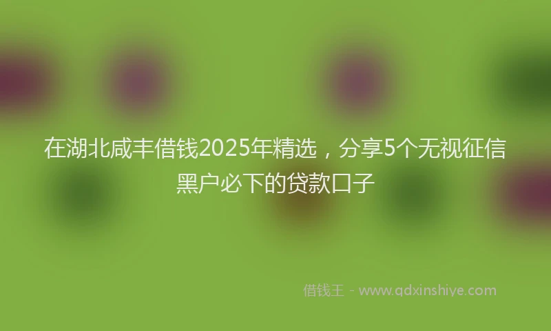 在湖北咸丰借钱2025年精选，分享5个无视征信黑户必下的贷款口子