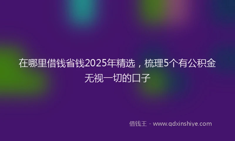 在哪里借钱省钱2025年精选，梳理5个有公积金无视一切的口子