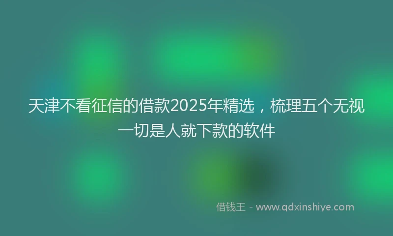 天津不看征信的借款2025年精选，梳理五个无视一切是人就下款的软件