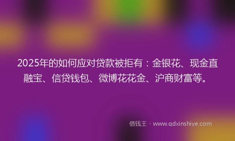 2025年的如何应对贷款被拒有：金银花、现金直融宝、信贷钱包、微博花花金、沪商财富等。