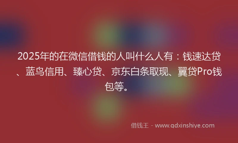 2025年的在微信借钱的人叫什么人有：钱速达贷、蓝鸟信用、臻心贷、京东白条取现、翼贷Pro钱包等。