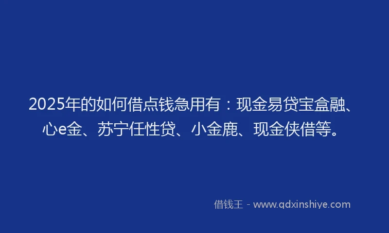 2025年的如何借点钱急用有：现金易贷宝盒融、心e金、苏宁任性贷、小金鹿、现金侠借等。