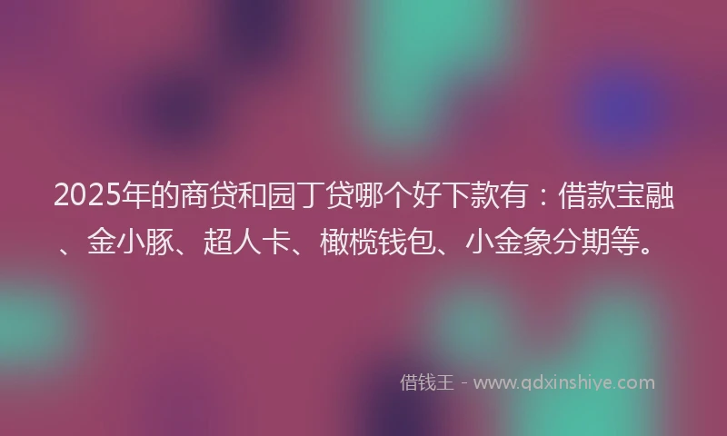 2025年的商贷和园丁贷哪个好下款有：借款宝融、金小豚、超人卡、橄榄钱包、小金象分期等。