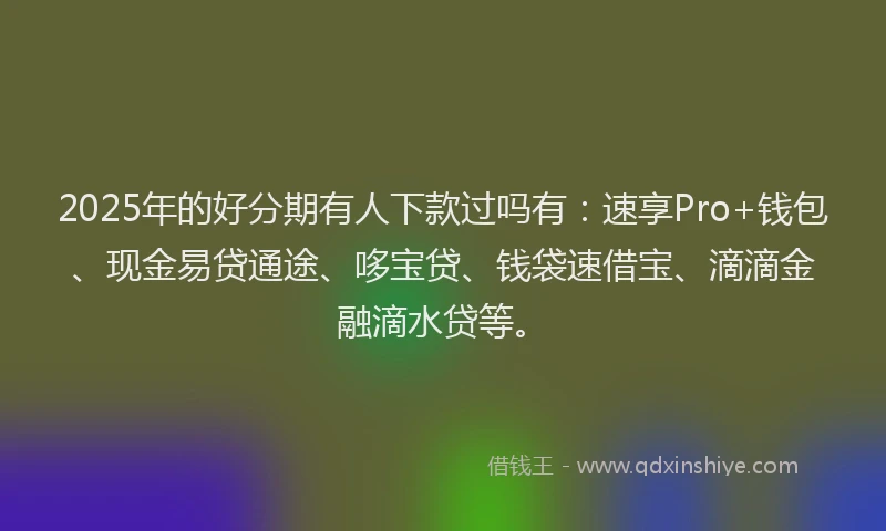 2025年的好分期有人下款过吗有：速享Pro+钱包、现金易贷通途、哆宝贷、钱袋速借宝、滴滴金融滴水贷等。